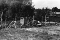 1968-0003-0000-0011-LS1