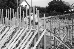 1968-0003-0000-0021-LS1