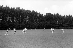 1968-0008-0000-0002-LS1