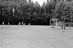 1968-0008-0000-0004-LS1