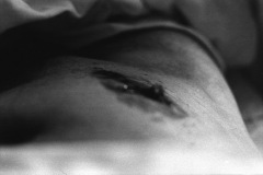 1968-0001-0000-0016-LS1