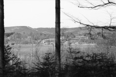 1969-0002-0000-0010-LS1