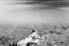 1969-0002-0000-0025-LS1