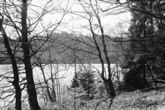 1969-0002-0000-0026-LS1