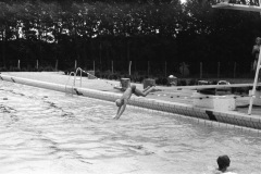 1969-0007-0000-0003-LS1