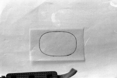 1969-0008-0000-0004-LS1
