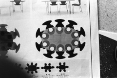 1969-0008-0000-0005-LS1