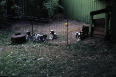 1970-0002-0000-0002-LF1