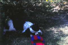 1970-0002-0000-0069-LF1