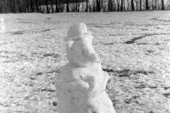 1970-0005-0000-0007-LS1