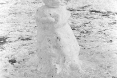 1970-0005-0000-0010-LS1