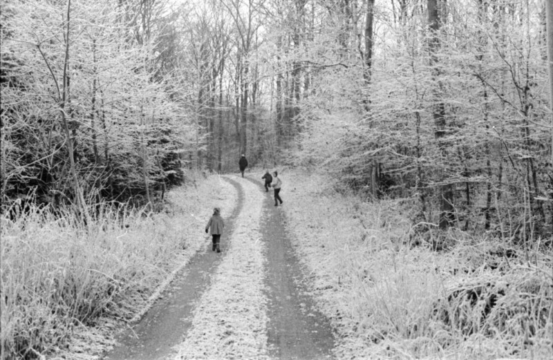 1970-0007-0000-0003-LS1
