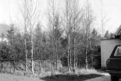 1971-0006-0000-0004-KS1