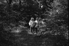 1971-0003-0000-0002-KS1
