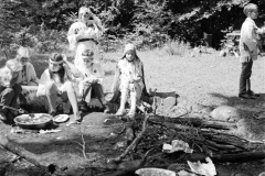 1971-0003-0000-0004-KS1