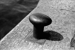 1971-0002-0000-0042-LS1