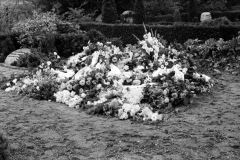 1971-0004-0000-0010-LS1