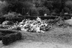 1971-0004-0000-0011-LS1