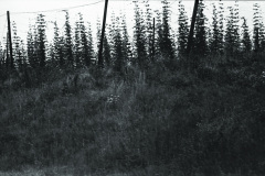 1971-0001-0000-0008-LS2