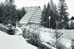 1971-0001-0000-0011-LS1