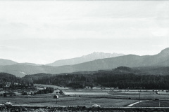 1971-0001-0000-0012-LS2