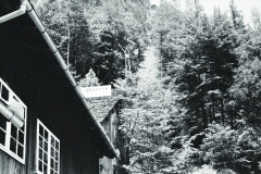 1971-0001-0000-0014-LS1