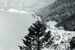 1971-0001-0000-0016-LS1