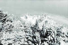 1971-0001-0000-0019-LS1
