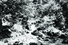 1971-0001-0000-0025-PS2