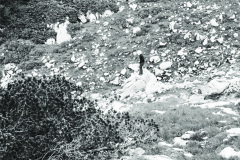 1971-0001-0000-0030-LS1