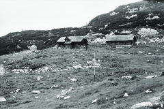 1971-0001-0000-0031-LS1