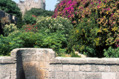 1972-0001-0000-0033-PF1