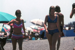 1972-0001-0000-0043-PF1
