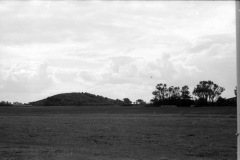 1973-0002-0000-0006-LS2