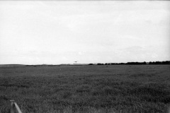 1973-0002-0000-0007-LS2