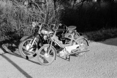1973-0001-0000-0008-LS1