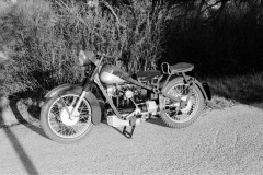 1973-0001-0000-0012-LS1