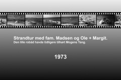 1973-0004-0000-0001-LS1