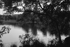 1974-0001-0700-0007-KS1