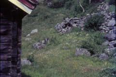 1974-0003-0700-0007-PS1