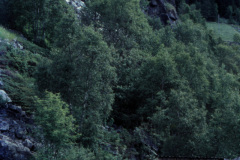 1974-0003-0700-0029-PS1