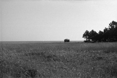 1975-0005-0000-0005-LS1