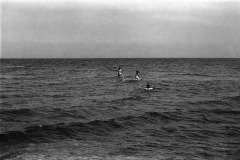 1975-0005-0000-0006-LS1