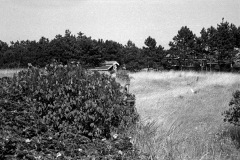 1975-0005-0000-0012-LS1