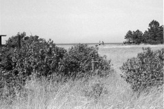 1975-0005-0000-0014-LS1