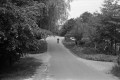 1975-0002-0000-0029-LS1