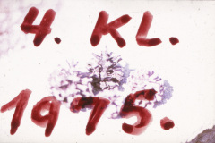 1975-0009-0000-0002-LF1