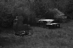 1975-0007-0000-0018-LS1