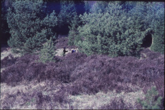 1975-0003-0000-0012-LF1