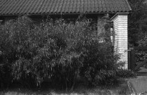 1976-0002-0000-0004-LS1